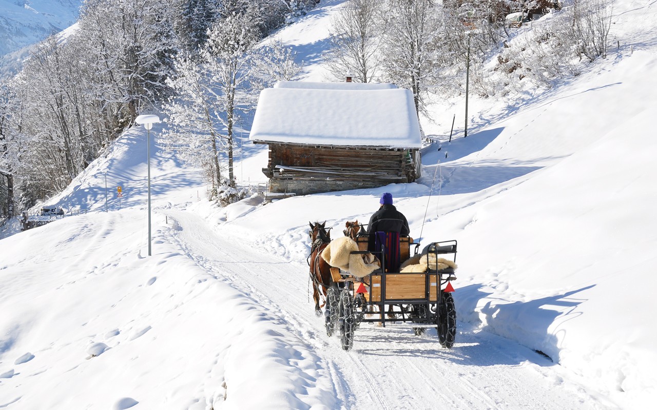 Pferdekutschenfahrt am Waldweg durch die Winterlandschaft, kleine Holzhütte am Wegrand