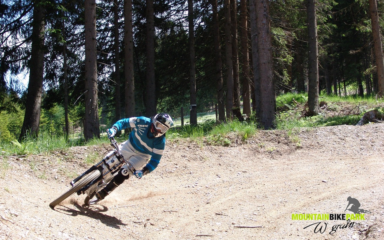 Downhill ride through the bike park forest trail