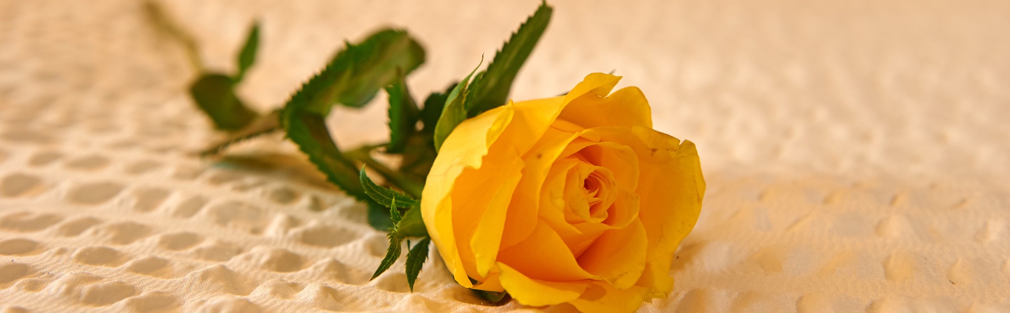 Mit Herz und Charme eingerichtet - die Zimmer und Appartements in der Pension Panorama in Wagrain